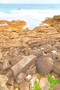   Güney Afrika gökyüzü okyanusta doğa rezerv  
