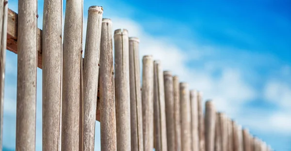 Bir bulutlu gökyüzü çok bambu stick doğal çit için — Stok fotoğraf