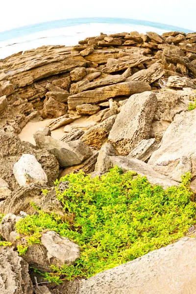 En Afrique du Sud ciel océan réserve nature — Photo