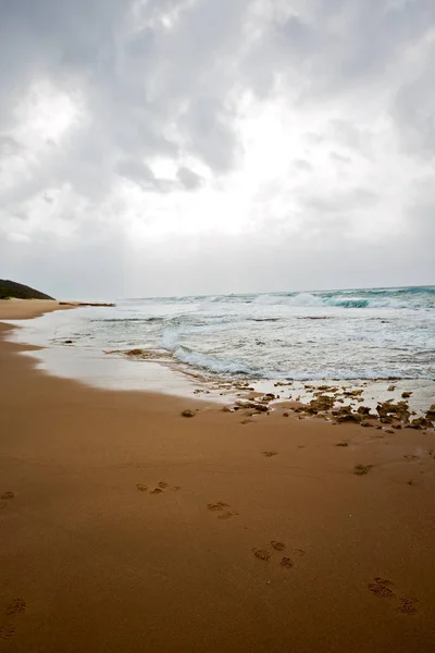 In south africa   sky  ocean       reserve — Stock Photo, Image