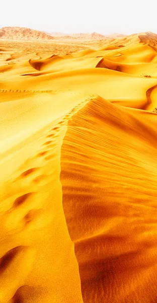 In oman old desert rub al khali the empty quarter and outdoor  s — Stock Photo, Image