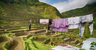   coultivation pirinç Teras alanı   