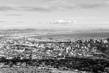 Güney Afrika cape town şehir manzarası içinde Masa Dağı