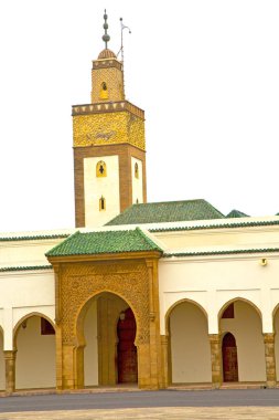 arka plan ve renkleri