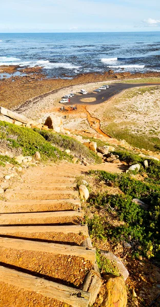 In costa sudafricana e riserva naturale del parco — Foto Stock
