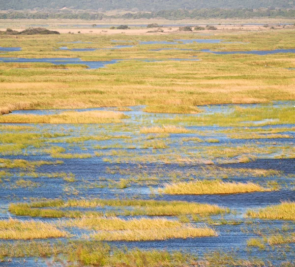 En Afrique du Sud étang lac réserve naturelle et buisson — Photo