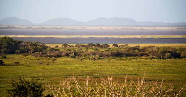 Na África do Sul lagoa lago reserva natural e arbusto — Fotografia de Stock