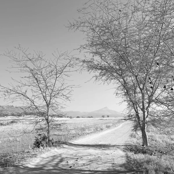 Na reserva natural de vida selvagem da Suazilândia — Fotografia de Stock