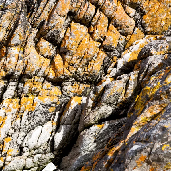 Detailní záběr na pobřeží kámen abstraktní — Stock fotografie