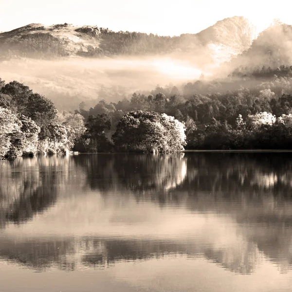 Yaban hayatı kutsal ve onun göl — Stok fotoğraf