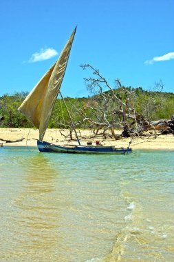 Pirogue plaj deniz yosunu Hint Madagaskar  
