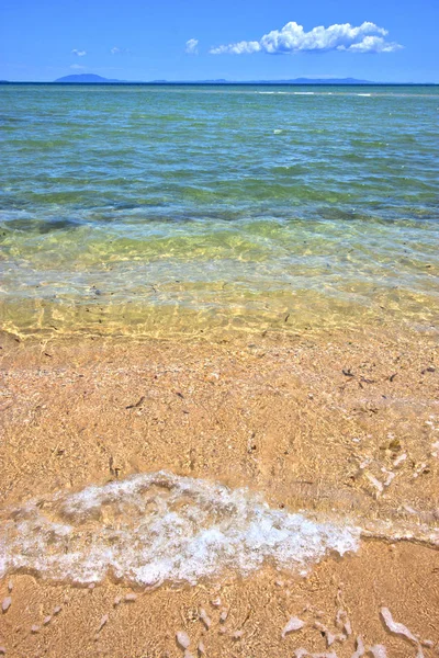 Paradise beach seaweed  indian ocean nosy     foam — Stock Photo, Image