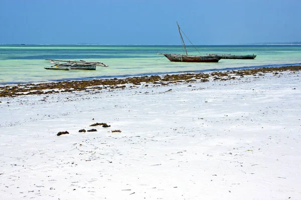 Στρώστε με άμμο παραλία Ζανζιβάρη — Φωτογραφία Αρχείου