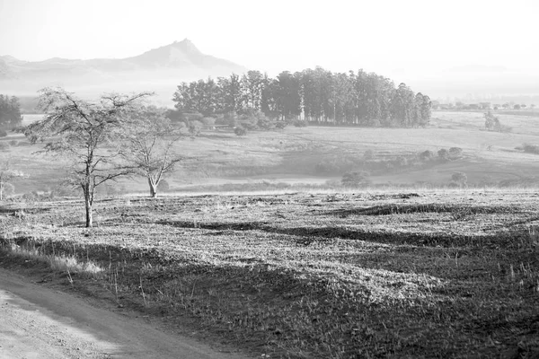 В Свазиленде заповедник — стоковое фото