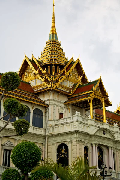 Tailândia bangkok chuva templo abstrato planta árvore — Fotografia de Stock
