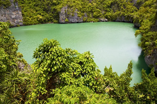 Т зеленой воды лагуны — стоковое фото