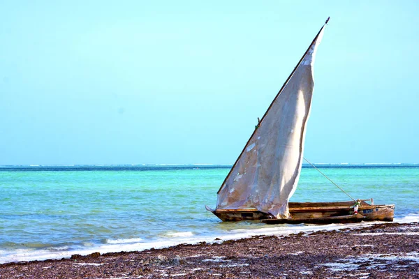 桑给巴尔海滩海藻印度洋风帆 — 图库照片