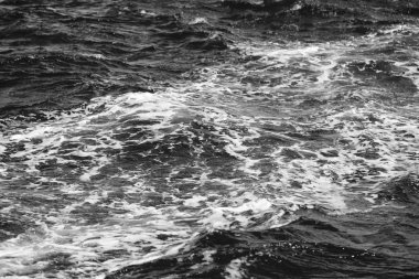 Pasifik Okyanusu arka plan bulanıklık 