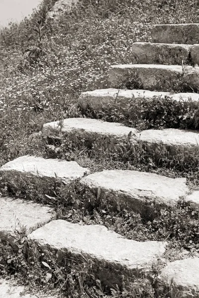 Die antike verlassene Treppe mit Blumen und Gras — Stockfoto