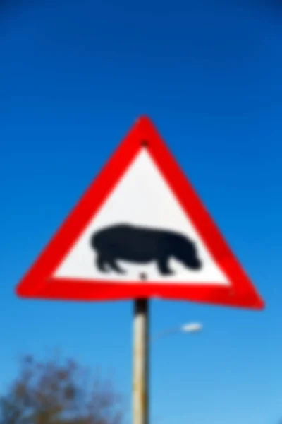 In Zuid-Afrika close-up van het nijlpaard-teken — Stockfoto