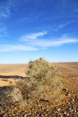 Çölde avuç içi Oasi Fas sahara africa dune