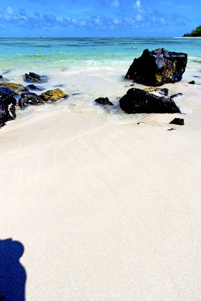 Beach ile du cerfs seaweed   indian    sky and rock — Stock Photo, Image