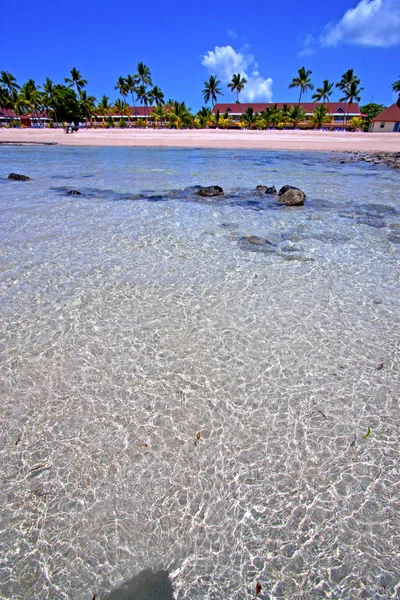 Beautiful Andilana Beach Seaweed Indian Ocean Madagascar Mountain Sand Isle — Stock Photo, Image