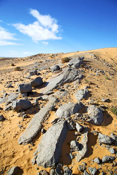 Viejo Fósil Desierto Morocco Sahara Roca Cielo Piedra — Foto de Stock