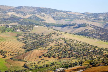yüksek düşük  