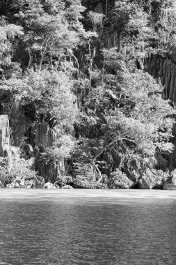 Filipinler 'deki bir tekneden El Nido Palawan yakınlarındaki yılan adasından güzel bir panorama kıyısı denizi ve kaya 