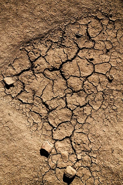 Dans le désert la terre sèche — Photo