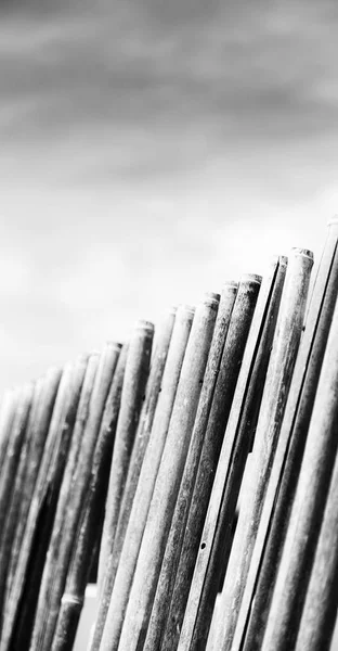 Σε ένα ραβδί μπαμπού μέρη συννεφιασμένος ουρανός για φυσικό φράχτη — Φωτογραφία Αρχείου