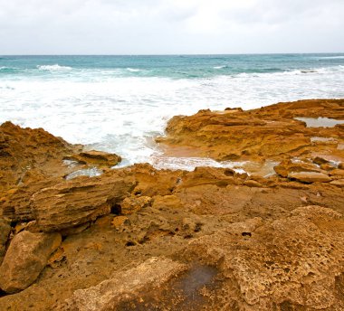   Güney Afrika gökyüzü okyanusta doğa rezerv  