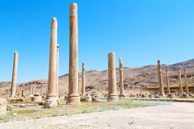 İran persepolis  