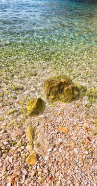 Asya thurkey su kayalarda  