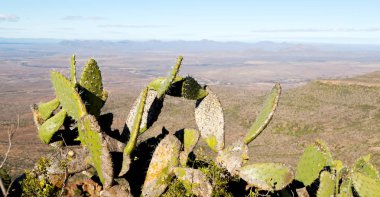   Güney Afrika ıssızlık vadisinde 
