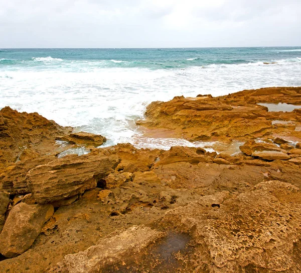 In Zuid-Afrika hemel Oceaan reserveren natuur — Stockfoto