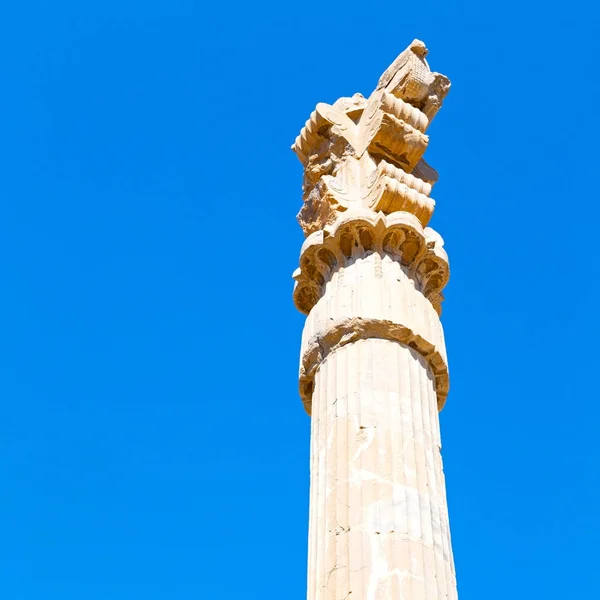 In Iran persepolis — Stockfoto