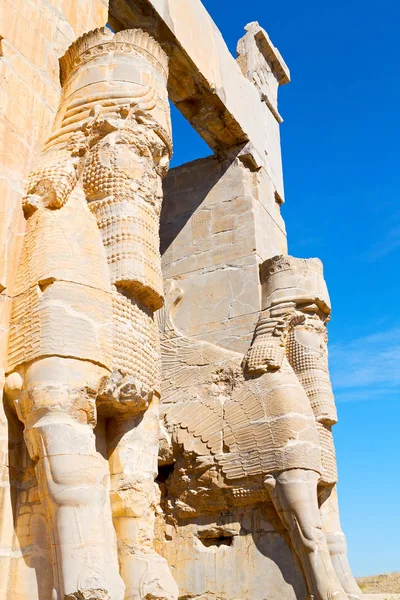 In iran persepolis — Stockfoto