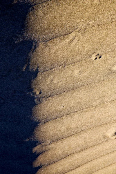 란 잘 롯에서 스페인 마른 모래와 해변의 — 스톡 사진