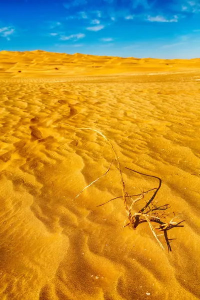 En el viejo desierto de Omán —  Fotos de Stock