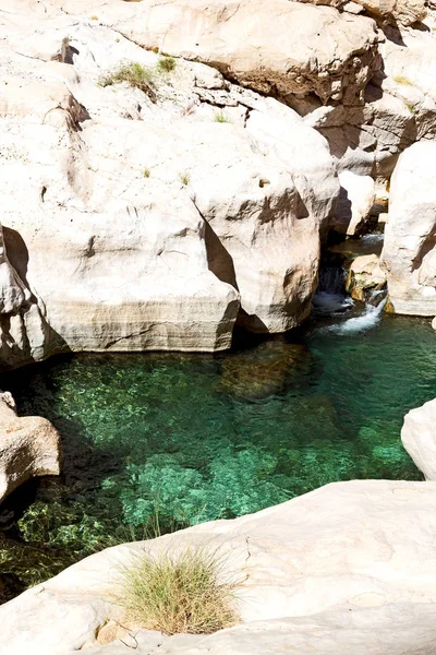 Dans le canyon oman — Photo