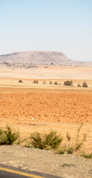 In Zuid-Afrika het land van bush en boom — Stockfoto