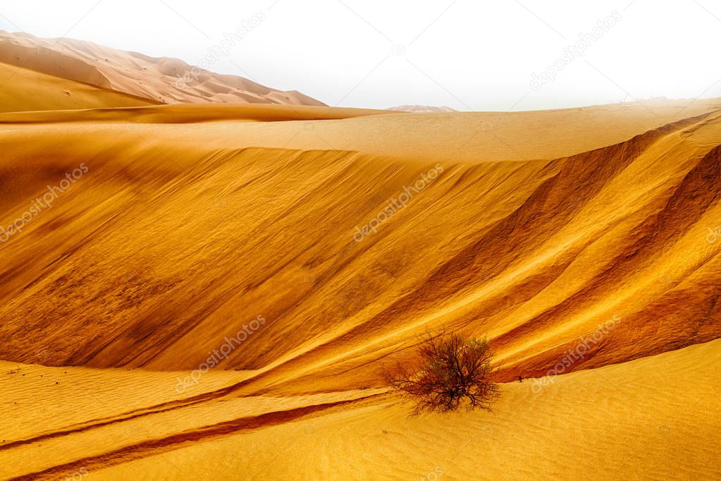 in oman old desert  rub al khali the empty  quarter and outdoor 