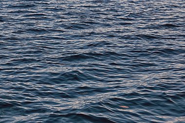 Pasifik Okyanusu arka plan bulanıklık 