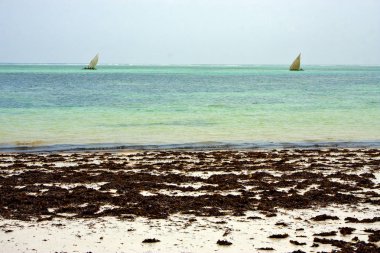 costline tekne pirague mavi lagün içinde dinlenmek zanzibar afric