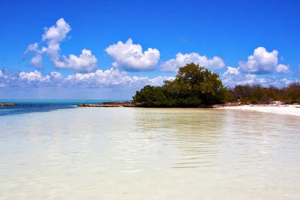 Costa y laguna relajarse contoy méxico — Foto de Stock