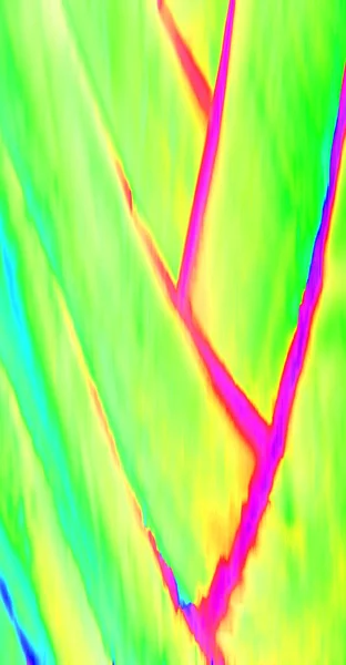 Soyut Renkler Bulanık Arkaplan Dokusu — Stok fotoğraf