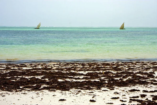 Línea Costa Pirague Barco Laguna Azul Relajarse Zanzíbar Afric — Foto de Stock