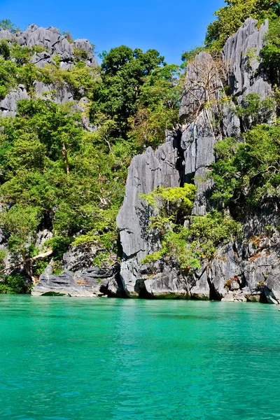 from a boat  in  philippines  snake island near el nido palawan beautiful panorama coastline sea and rock